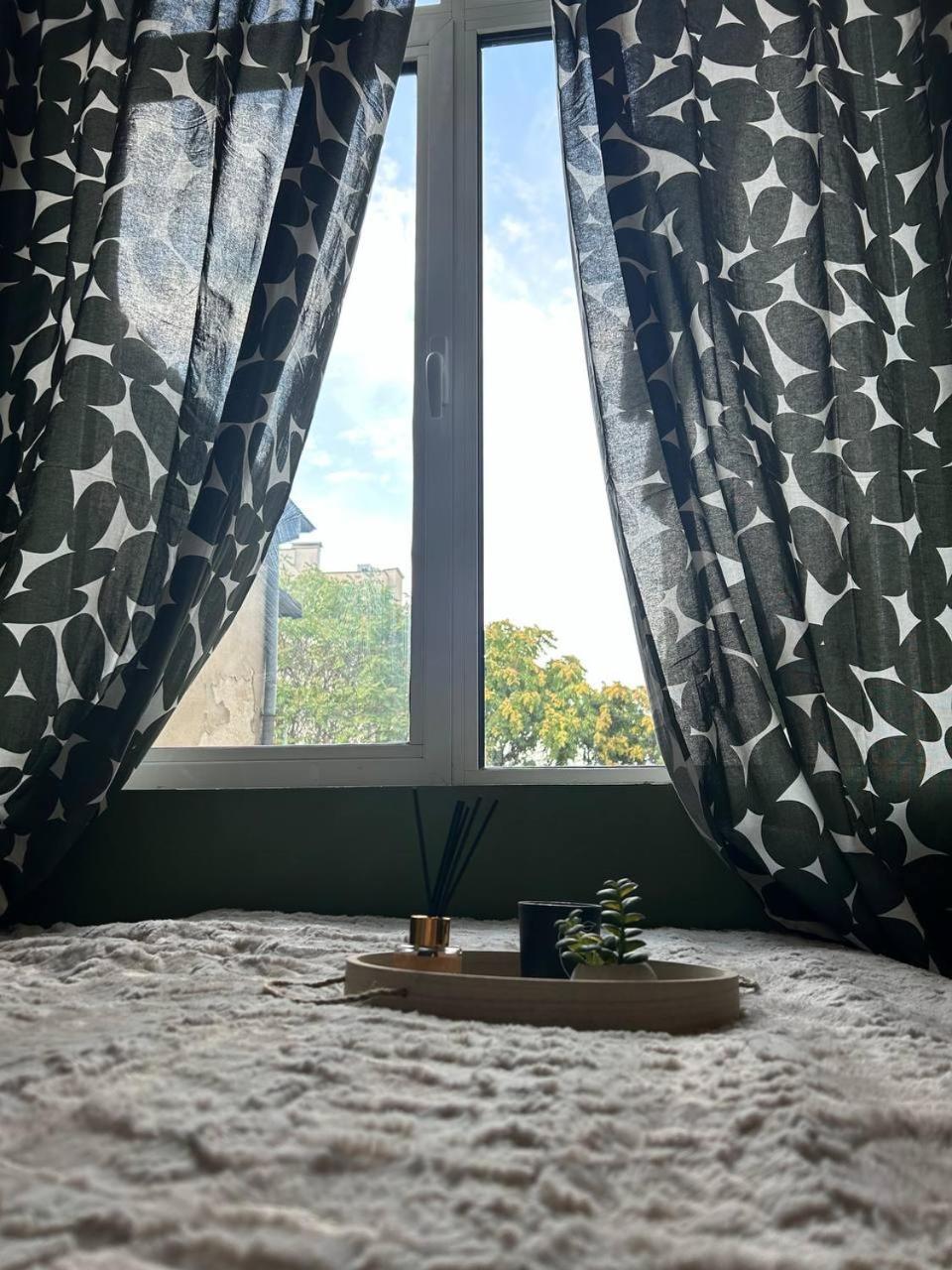 Pirotska Cozy Appartement